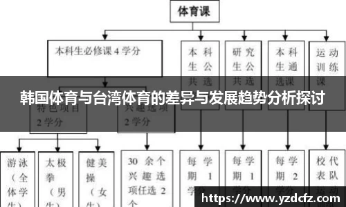 韩国体育与台湾体育的差异与发展趋势分析探讨